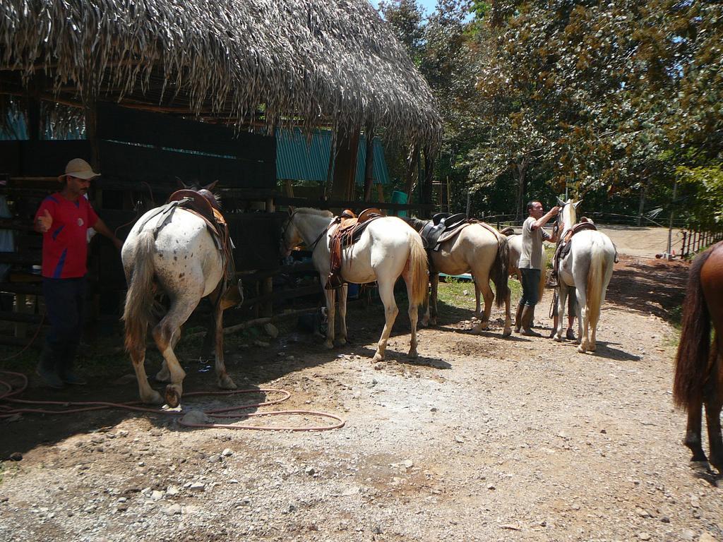 Вилла Casas Buenas Brisas Охочаль Номер фото